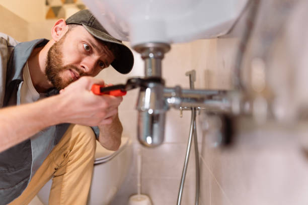 Best Toilet Repair Services  in Carrizo Springs, TX
