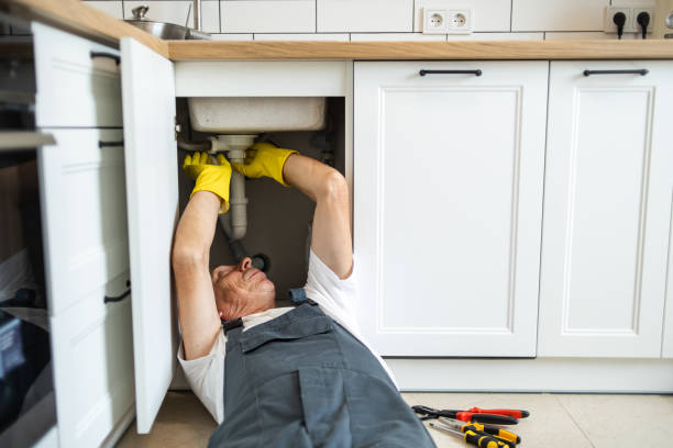 Best Same-Day Plumbing Service  in Carrizo Springs, TX