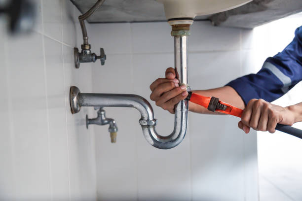 Best Sewer Line Repair  in Carrizo Springs, TX
