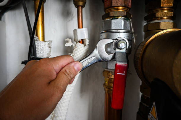 Best Pipe Repair Near Me  in Carrizo Springs, TX